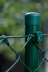 Pletena mrežna ograja Dingo, prašno barvana zeleno - Višina: 1250 mm,  Okenca: 50 mm