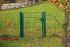 Vrata-žična rešetka David 1 - krilna, 97 cm široka - cinkano ali barvano: barvano zeleno, višina v cm: 143, širina v cm: 97, Teža v kg: 29,9