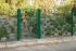 Vrata-žična rešetka David 1 - krilna, 97 cm široka - cinkano ali barvano: barvano zeleno, višina v cm: 203, širina v cm: 97, Teža v kg: 40,87