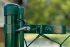 Pletena mrežna ograja Dingo, prašno barvana zeleno