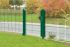 Okrasna ograja Rom – 251 cm dolžina - cinkano ali barvano: barvano zeleno, višina v cm: 83, dolžina v cm: 251