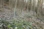 Ograja 50 m Komplet Taurus lahek - Višina: 100 cm, vključno z 25 Z-stebri, horizontalne žice: 23